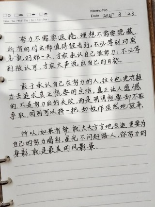 励志文章：努力始终是实力的保证_励志文章