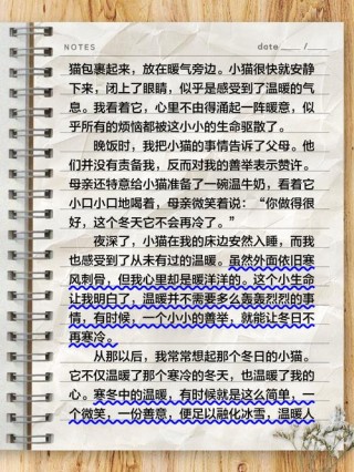 因为写作，所以融化了我内心的寒冷