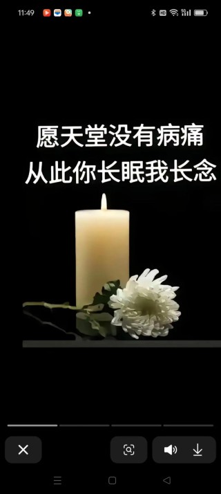 回复节哀顺变的短句（回复节哀顺变的短句）