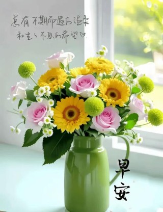 2020最火的早安问候语，温暖阳光，一秒倾心