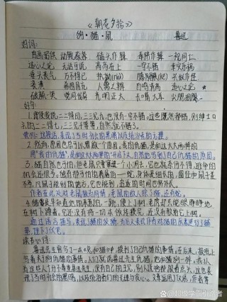 读书笔记摘抄大全20篇，读书笔记摘抄精选，二十篇读书感悟集锦