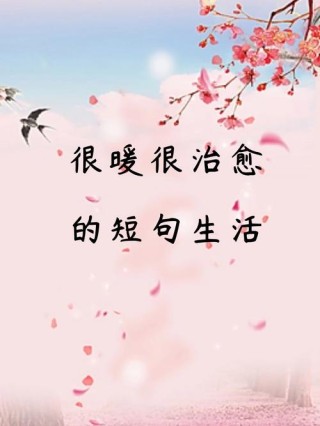 治愈系温柔短句，治愈温柔，短句暖心