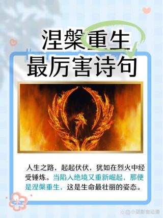 涅盘重生的励志句子，让你信心满满！