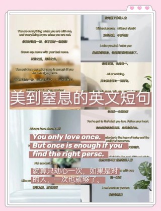 形容鼻子优美的短句（形容鼻子英语句子）