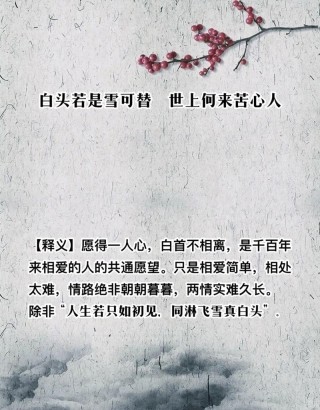 暮雪白头，爱意深沉