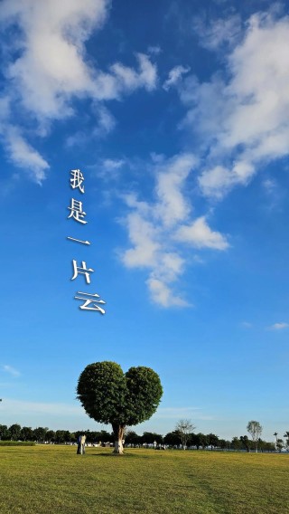 人言云亦是云，我言云才是云。