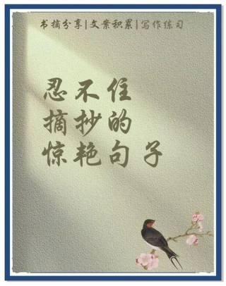 令人惊艳的句子，让你瞬间心动