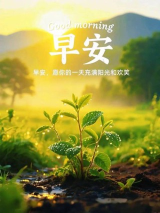 正能量励志的句子经典语句，正能量励志经典语句，激发内心动力，勇往直前！