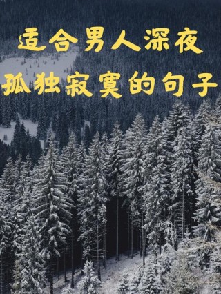 寂寞的夜，寂寞的心