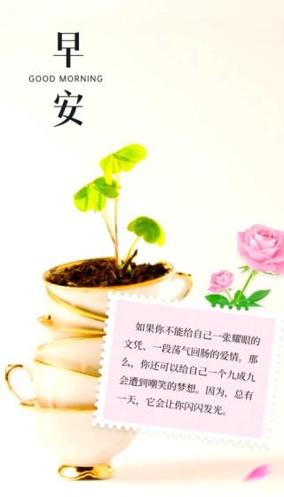 个人心语的句子，个人心语，内心的独白与情感之旅