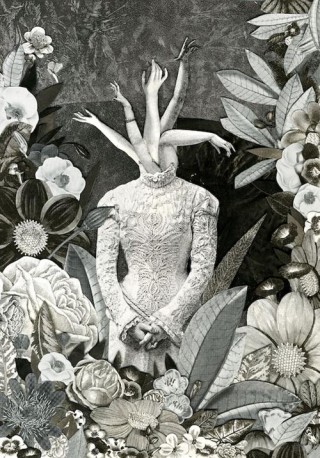 那些扭曲的花朵