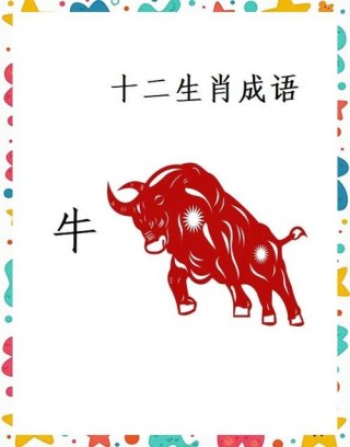 十二生肖与俗语——牛