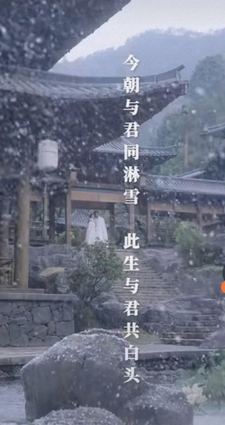 今生与雪有缘