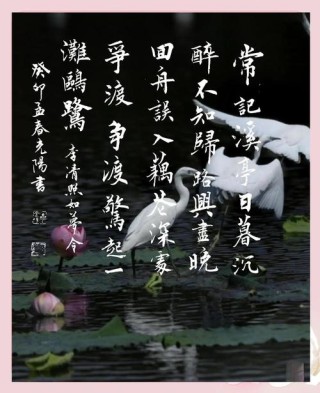 《如梦令·流夏》