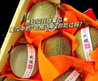 一张小网高高挂，生来专装西瓜，一共装了千万次，一个瓜儿没留下。 （打一物）