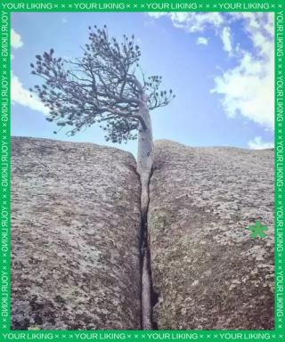 生命