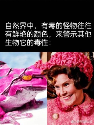 HP 我是社交恐惧症（1）