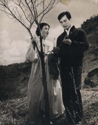 上个世纪的爱情