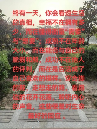 悟透人生的最高境界句子，悟透人生至高境界，洞悉心灵深处的智慧句子