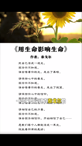 《梦想》泰戈尔，泰戈尔的梦想