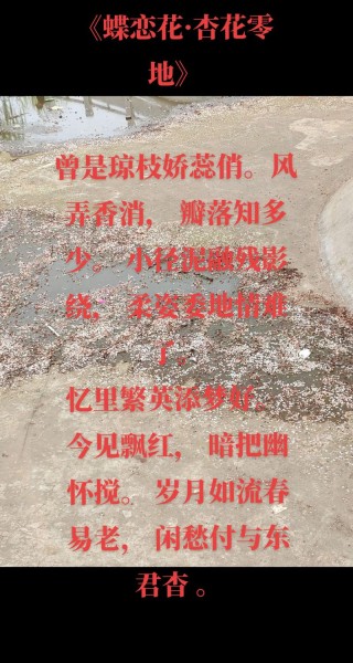 红颜、幽怨情愁