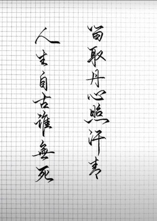 人生自古谁无死