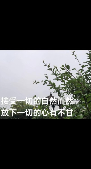 放下一切，放下一切，心灵的解脱与自由之路