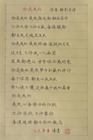 你是我诗中最美的句子