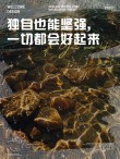 自己预支一份坚强?励志文章