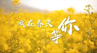 下一个春天等你