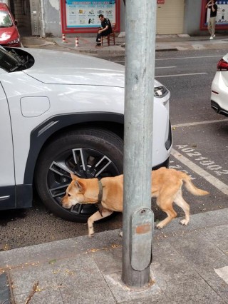 “跑腿儿”跑到家门前