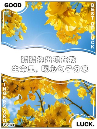 温馨柔美的生命礼赞