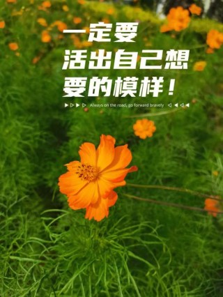 活出自己