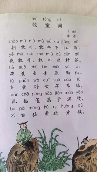 牧童牛背笛声闲，犬吠惊飞鸟，明月清风伴我还