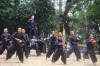 树上藏枪 （打一字）