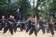 树上藏枪 （打一字）