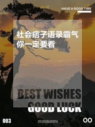 超霸气社会语录，非主流代名词，惹不起惹不起