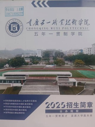 重庆有哪些职业技术学院