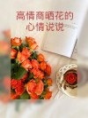 看花的心情好的句子：花开时，心情亦绽放，赏花的心灵盛宴