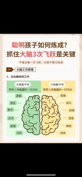 训练大脑的10个小方法