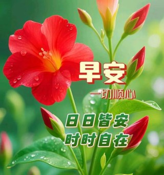 早上好！微信上最火的经典句子，句句清新唯美，送给委屈心累的你