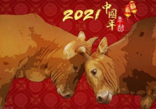 牛年要到了，俗话：“牛遇无春年，长工不停歇”，到底是什么意思