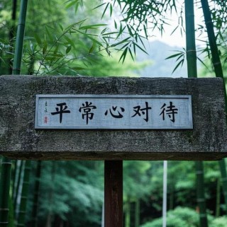 平常日子平常心