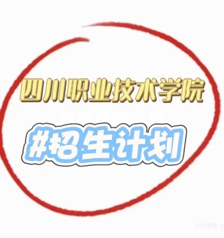 四川职业技术学院各专业2026在湖南招生人数、录取分数线（附：招生计划表）