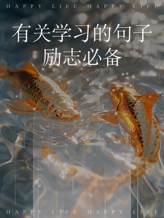 关于学习的格言