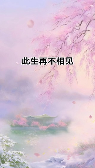 是以再见别流年