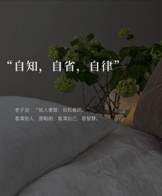 浅谈“自律者出众，放纵者出局”-有感严格自律的“王道”人生观