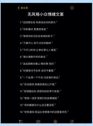 高级又小众的情绪短句文案