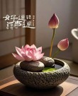淡定如莲，开在盛夏