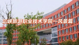 三峡旅游职业技术学院录取分数线2025是多少分「在各省录取最低分」
